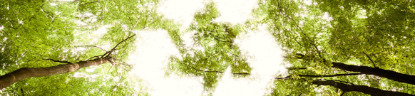 Lab Reporter: Sustainable Solutions Offer Labs a Greener Choice Lab Reporter: Sustainable Solutions Offer Labs a Greener Choice