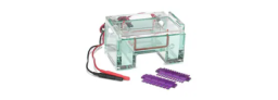 Gel Electrophoresis Equipment and Supplies