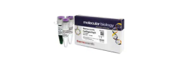 Enzymes and Inhibitors