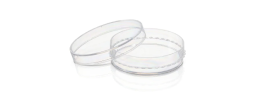 Shop cell culture dishes