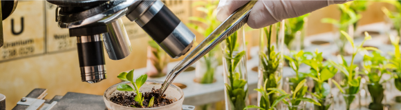 Agriscience and Agrochemicals Testing Agriscience and Agrochemicals Testing