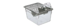 Animal Cages