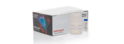 Nucleic Acid Labeling and Detection Kits