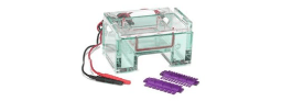 Gel Electrophoresis Equipment and Supplies