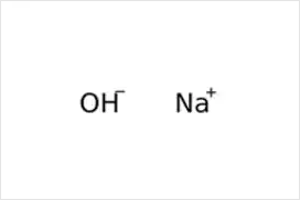 Bases