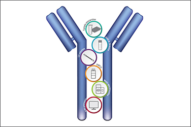 Thermo Scientific Chromatography Protein and Gene Therapeutics 