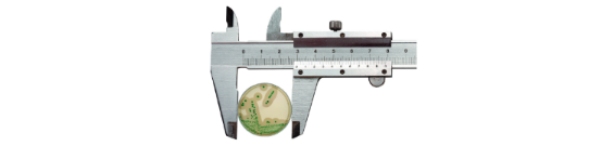 Rapid Detection with Chromogenic Media Rapid Detection with Chromogenic Media