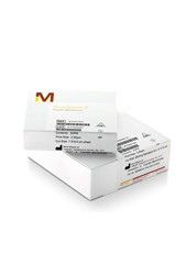 Immobilon-E Blotting Sandwiches Immobilon-E Blotting Sandwiches