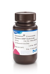 Immobilon Crescendo Western HRP Substrate