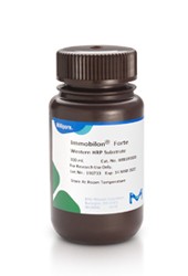 Immobilon Forte Western HRP Substrate
