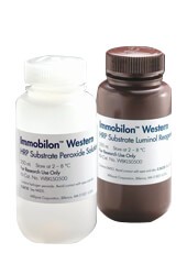 Immobilon Western Chemiluminescent HRP Substrate Immobilon Western Chemiluminescent HRP Substrate