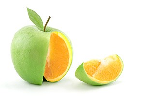 labreporter-green-orange