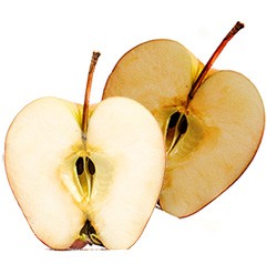 labreporter-apple-brown