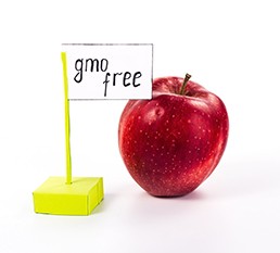 labreporter-gmo-free