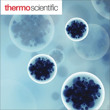 thermo-17-078-3379