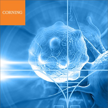 corning-17-078-3379