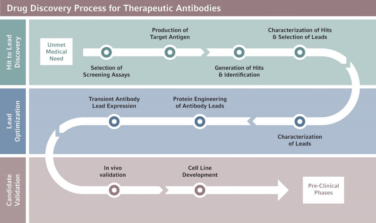 eppendorf-centrifugation-therapeutic-antibodies-editorial-figure2-20-420-2129