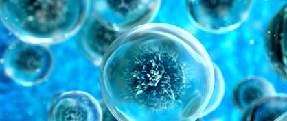 Read About Life Sciences