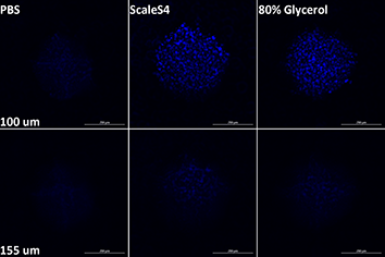 agilent-extra-2-22-618-0093 agilent-extra-2-22-618-0093