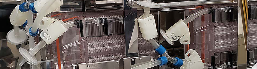 Suspension or Adherent: Which Cell Culture Method Is Right for Your Lab?