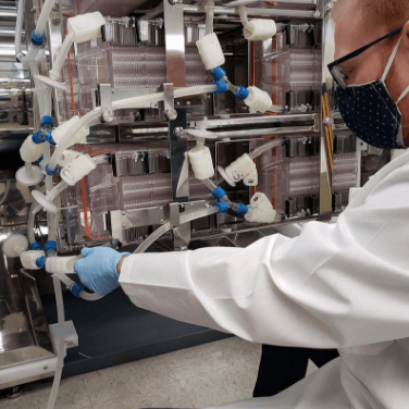 Suspension or Adherent: Which Cell Culture Method Is Right for Your Lab?