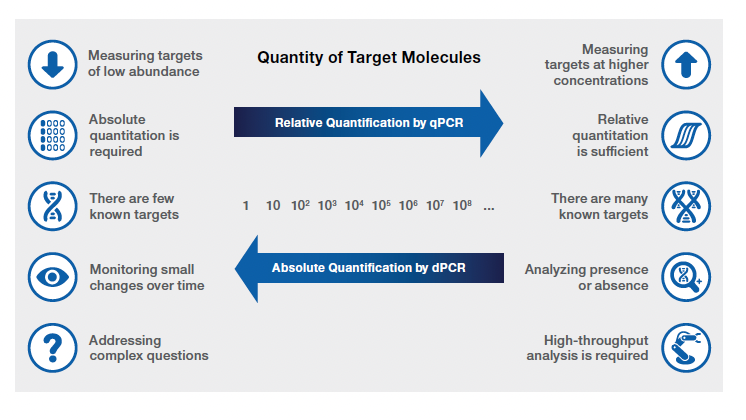 Quantity of Target Molecules