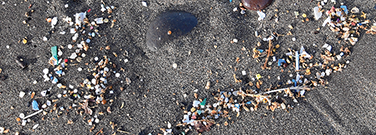 Microplastics: Investigating Risk and Understanding Evidence