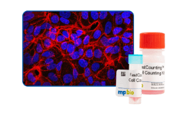 model-establishment-verification-category-20-1821 Model Establishment Verification and Cell and Tissue Analysis