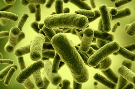 Environmental Monitoring Image
