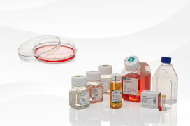 Elevate your research with cell culture plastics, media, reagents, antibiotics, and more.