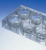 permeable-supports-2-21-0703 Corning™ Transwell™ Multiple Well Plates with Permeable Polycarbonate Membrane Inserts