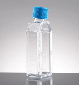 treated-flasks-21-0703 Falcon Tissue Culture Treated Flasks