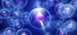 Cell Health