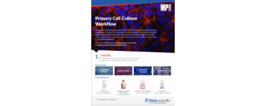 MP Biomedicals Primary Cell Culture Workflow Flyer