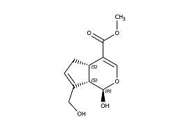 Protein Analysis Chemicals