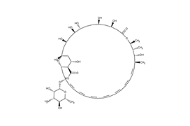 Thermo Scientific Chemicals Amphotericin B