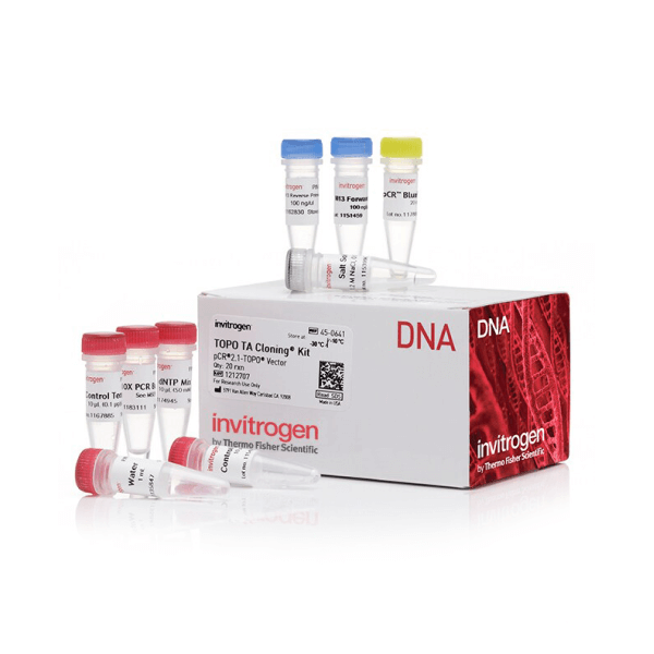 Get 24% Off Cloning and Electrophoresis Products