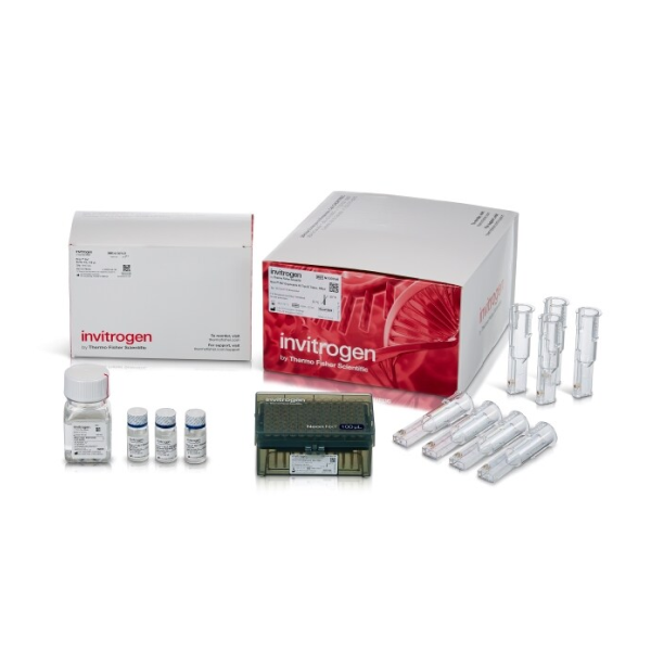 Get 14% Off Invitrogen and Gibco Cell Culture Reagents