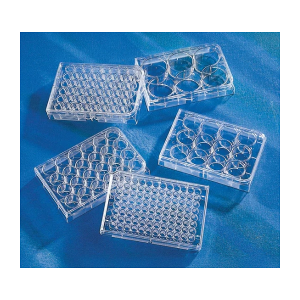 Get 50% Off Corning Cell Culture Products